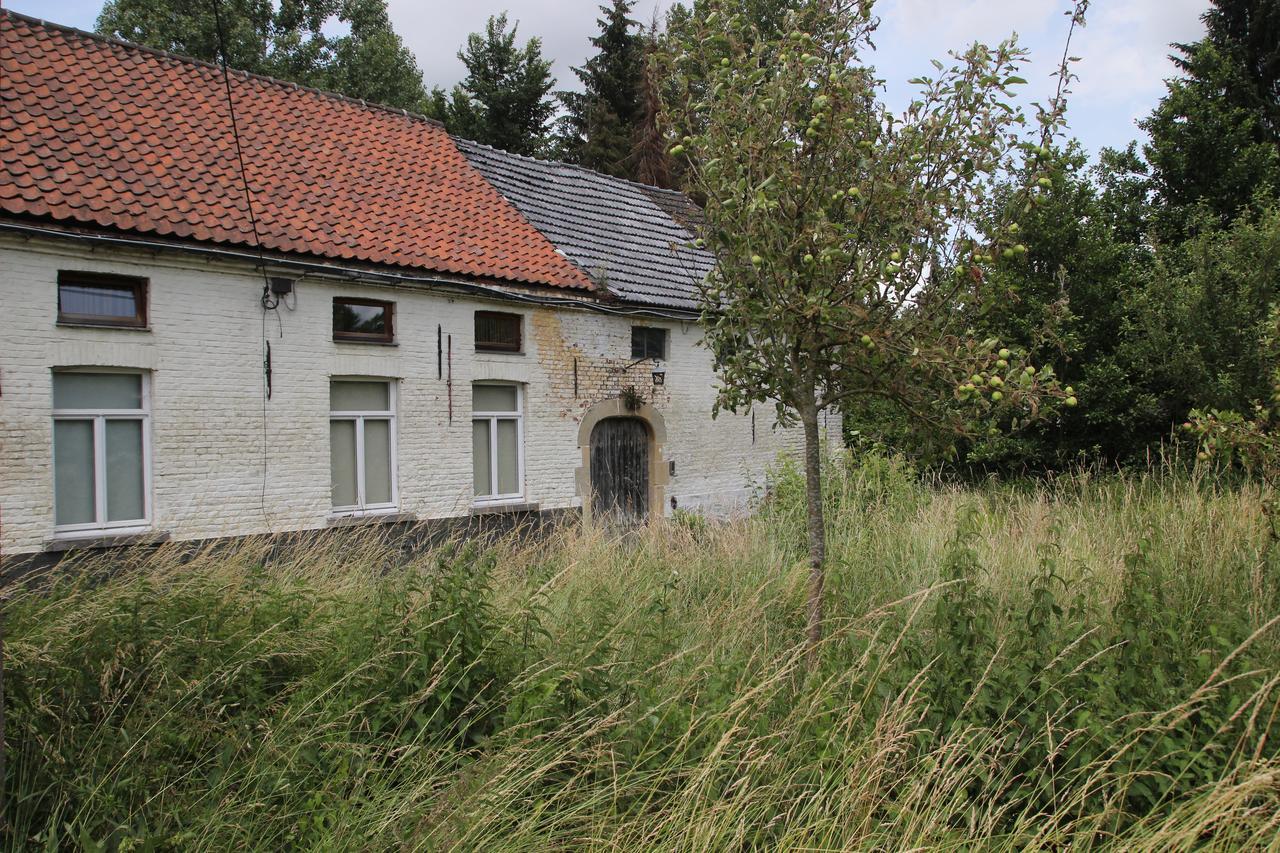 B&B Dotter 17 Erpe-Mere Kültér fotó